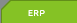 ERP